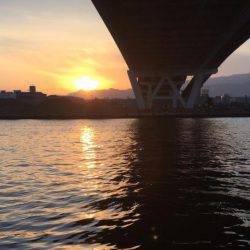 甲子園浜 夕マズメ 40cm